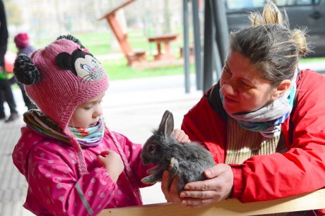 Húsvéti kézműveskedés és nyuszisimogató a Koronás Parkban